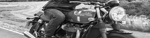 Triumph Motorcycle Graphics